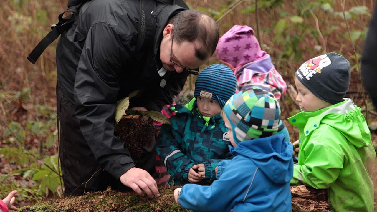 Are forest kindergartens a good idea? | SBS Dateline