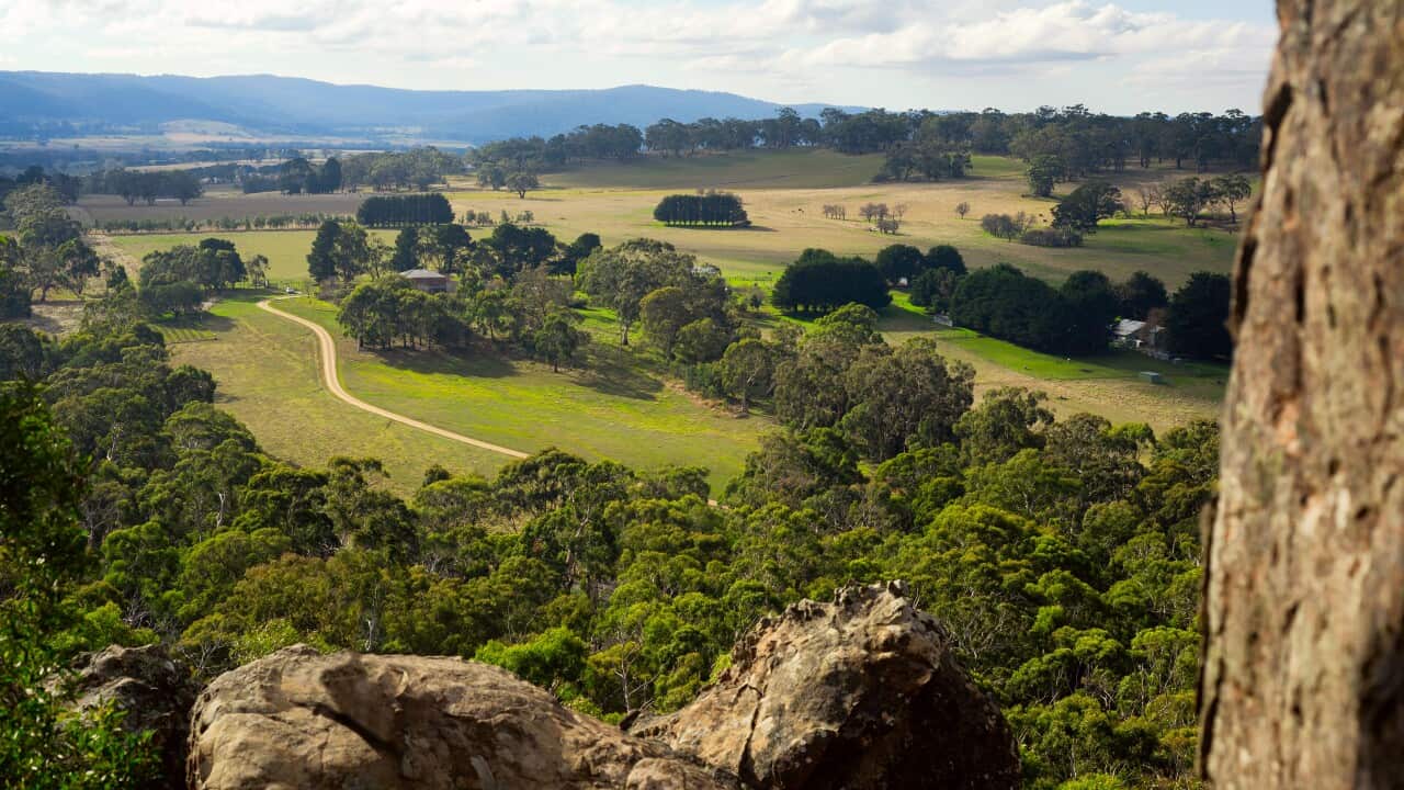 Image for read more article 'READ MORE'