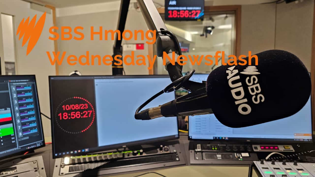 Wednesday newsflash 240124.png