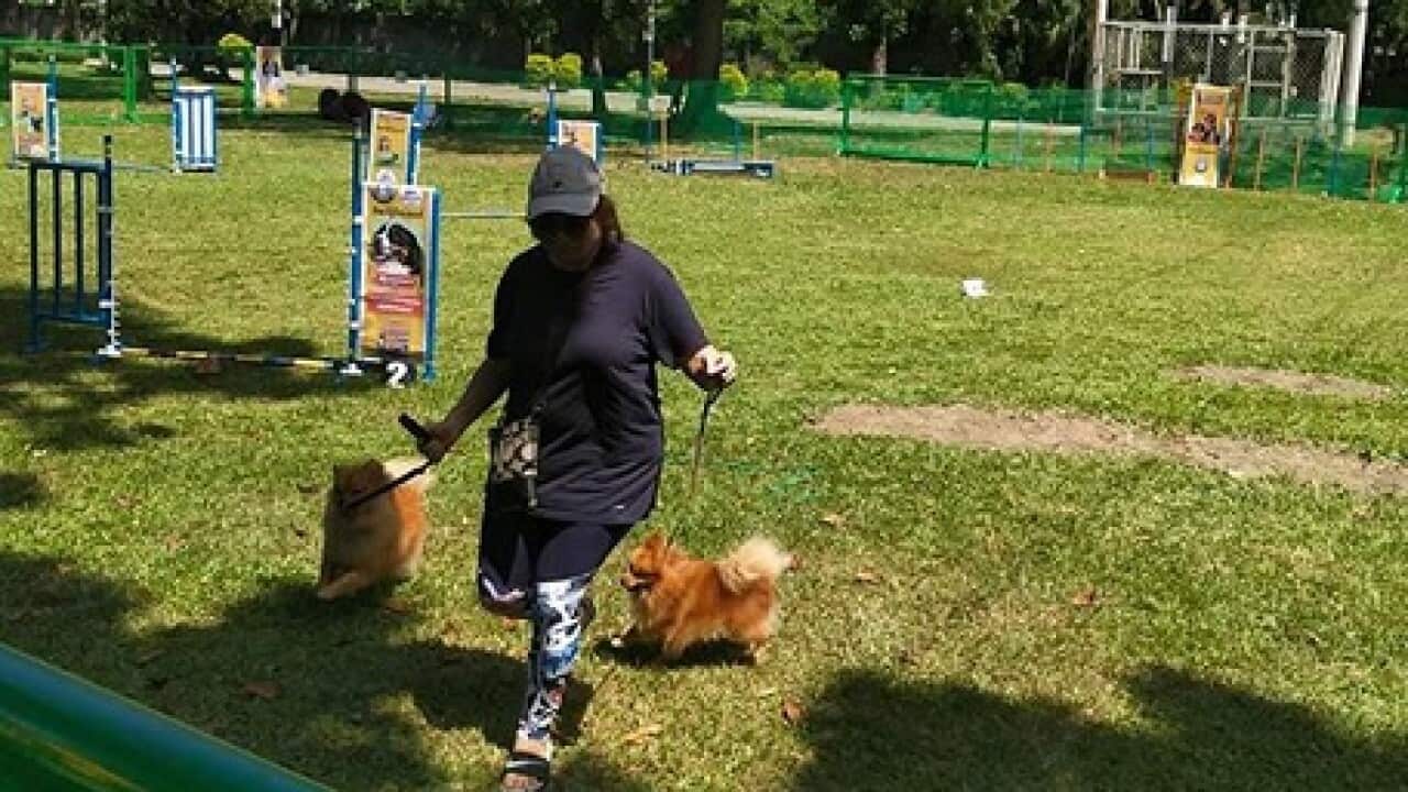 Davao pet owners can now bring their pets to this first-ever Paw Park.