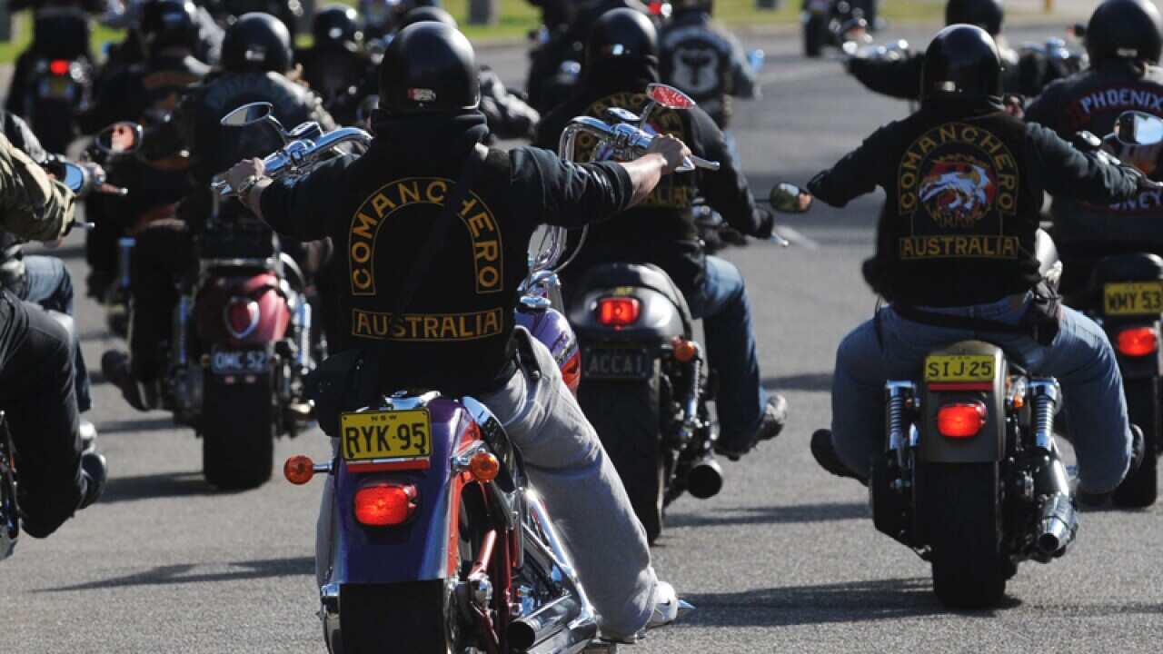 Members of motorcycle gangs