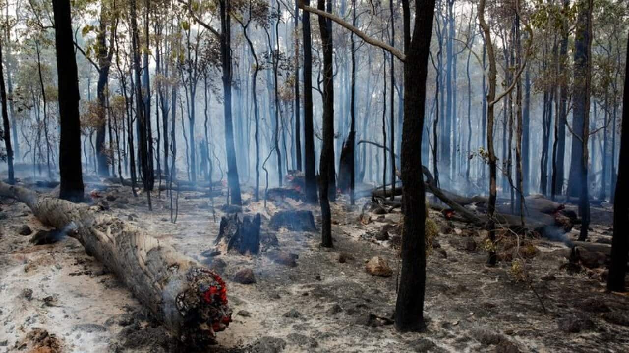 Image for read more article 'Noticias relacionadas'