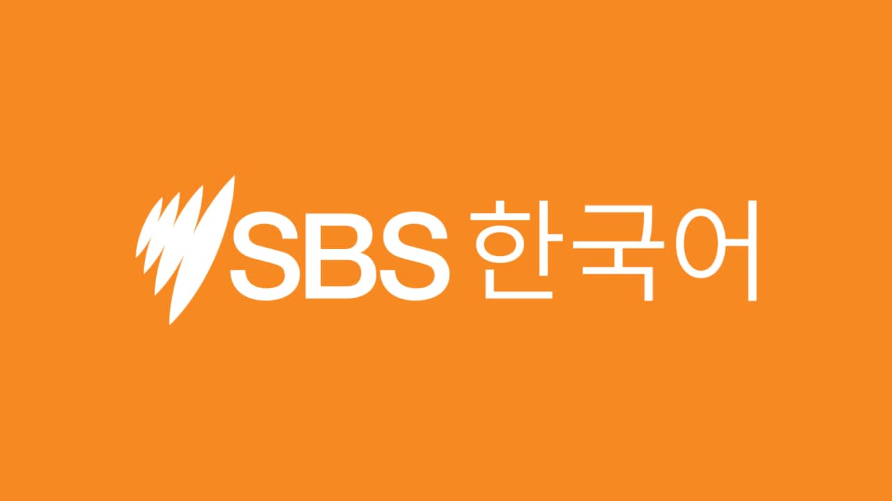 SBS Korean 1 hour program.png