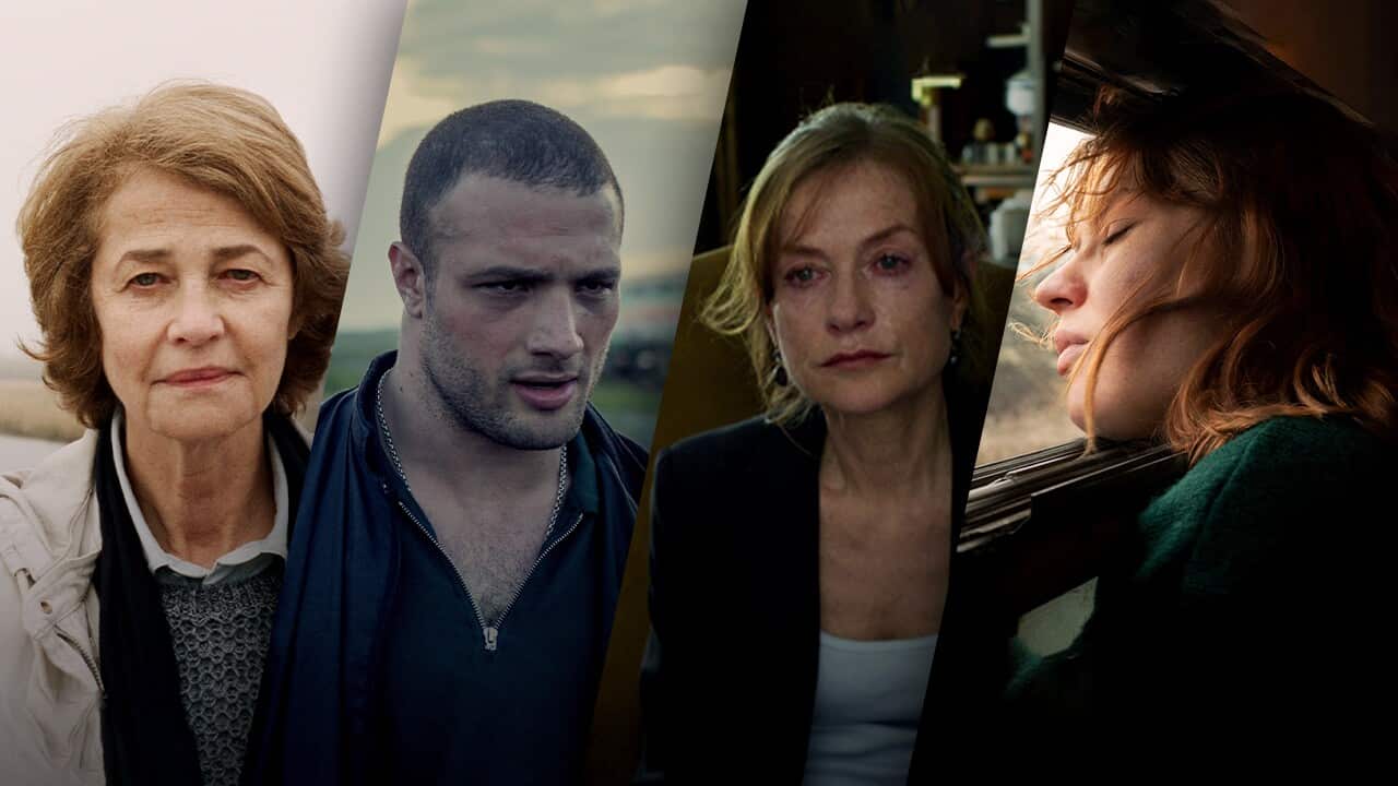 Image for read more article 'MORE AT SBS:'
