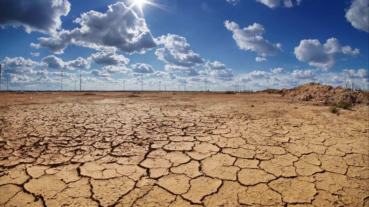 Drought stricken land