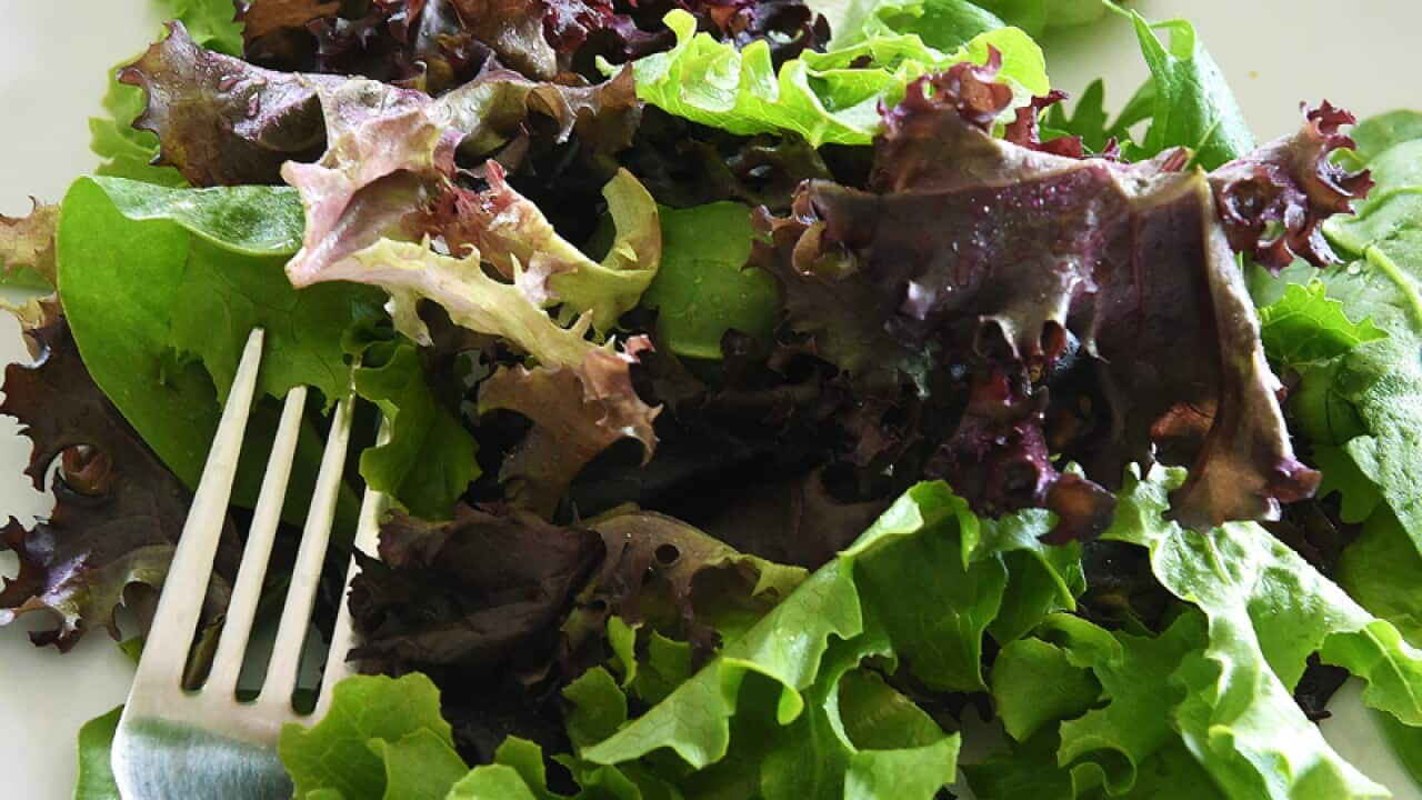 Pre-packed lettuce is seen on a plate.