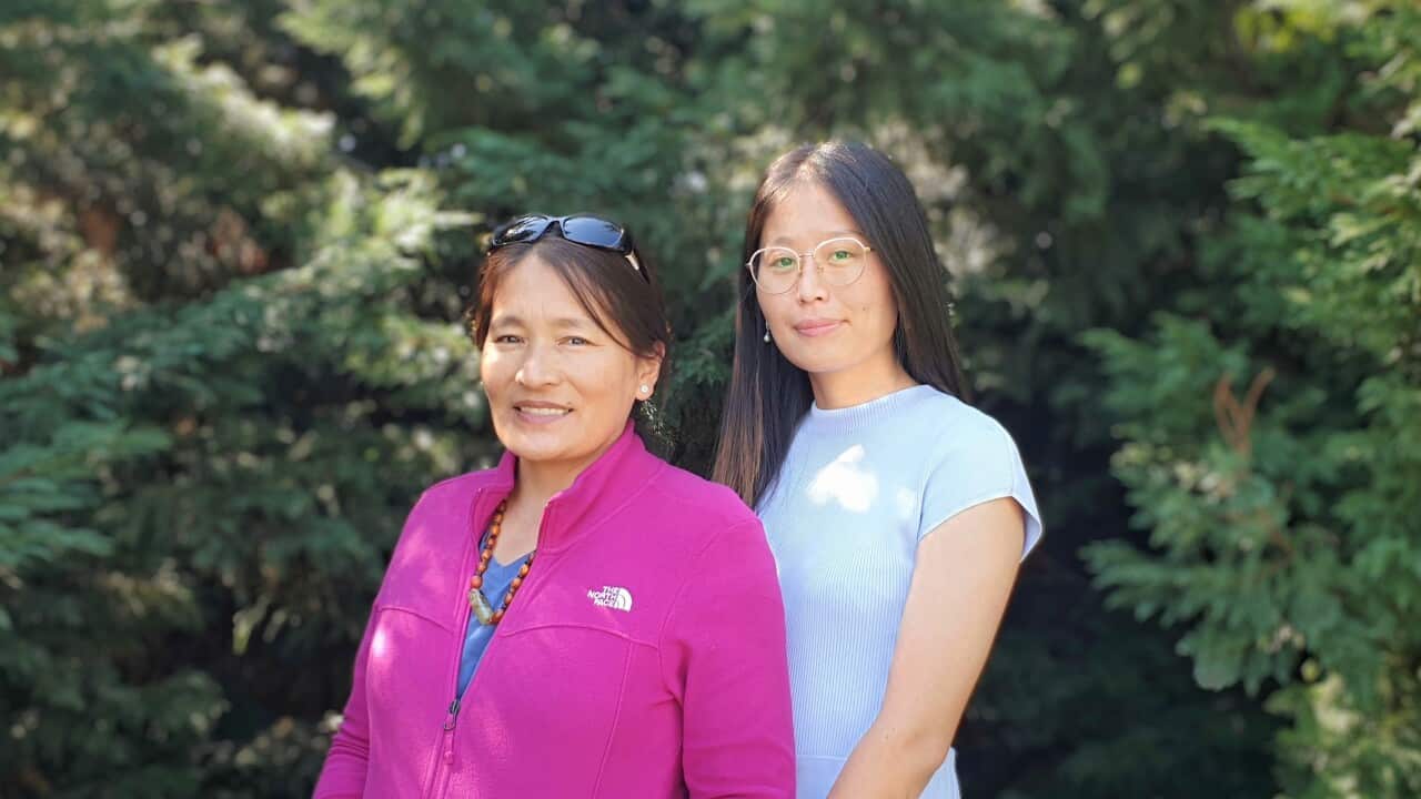 Image for read more article 'More episodes of New Home'