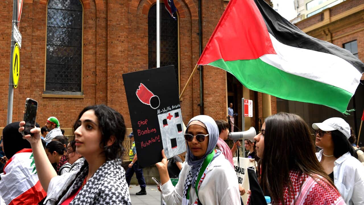 PRO PALESTINE PROTEST SYDNEY