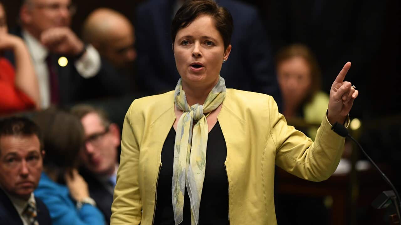 NSW Minister for Women, Mental Health, and Ageing Tanya Davies speaks during Question Time in the Legislative Assembly at New South Wales Parliament House in Sydney, Tuesday, July 30, 2019. (AAP Image/Joel Carrett) NO ARCHIVING