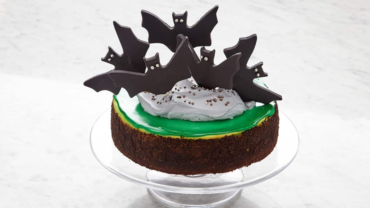 Bat-themed Halloween chocolate mint brownie cheesecake