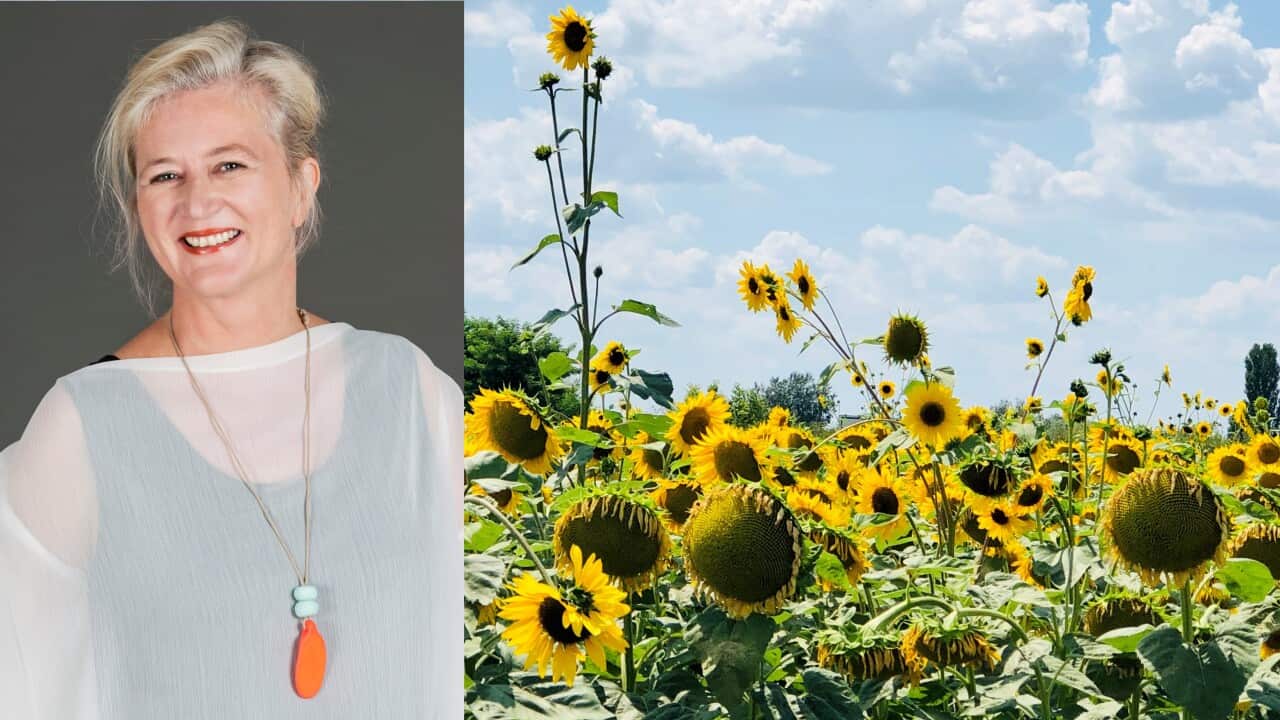 Natasha Čiča is the editor of the 69th edition of the Griffith Review titled "European Exchange".