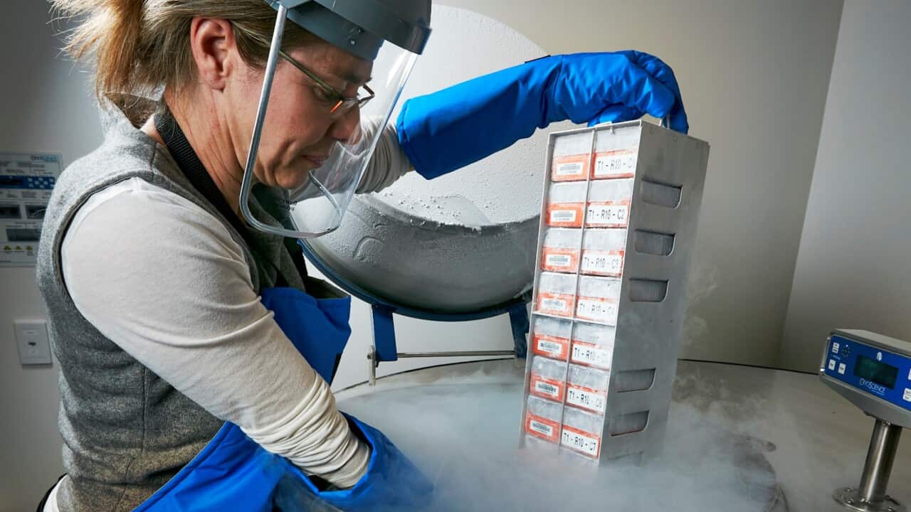 Dr Joanna Summers Senior Manager of Genetic Resources Museums Victoria Research Institute (Museums Victoria).jpg