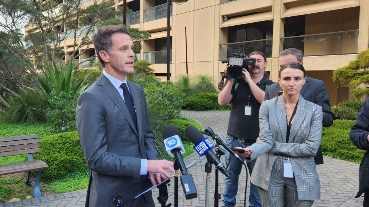 CHRIS MINNS PRESSER