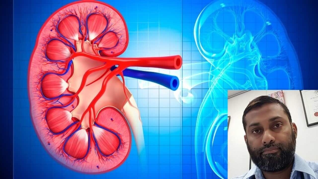 Kidney Diseases