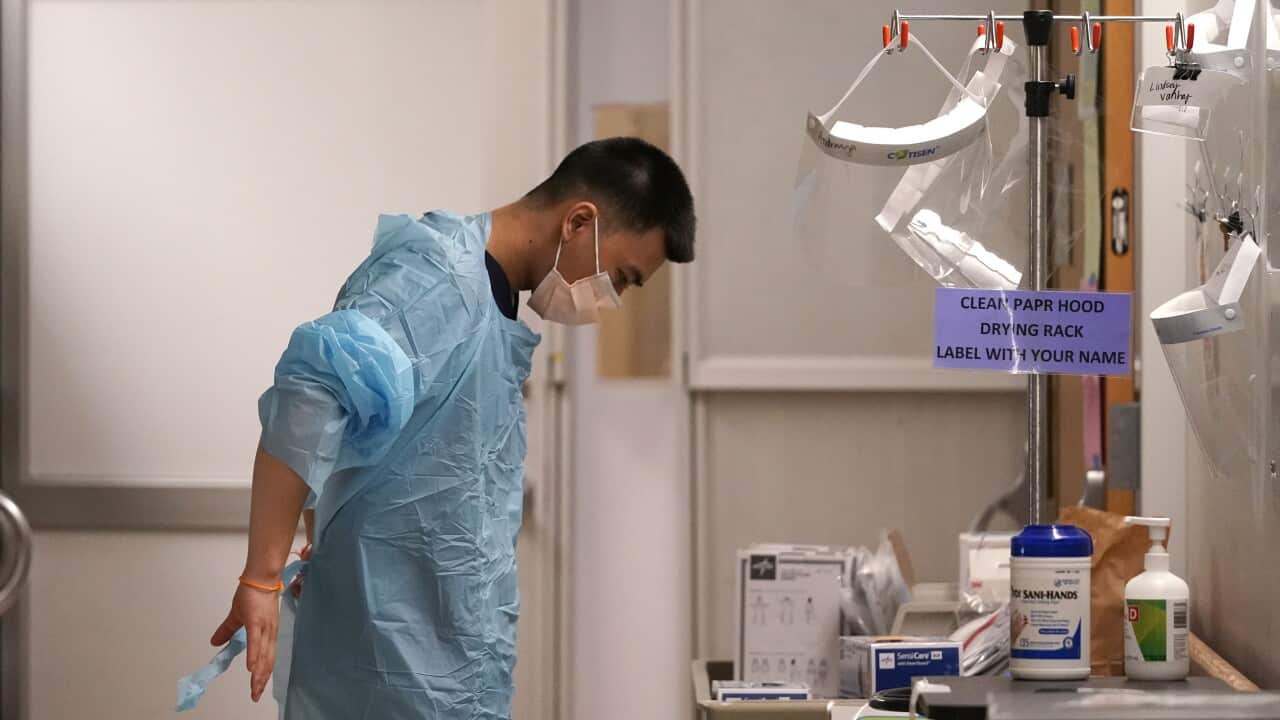 First cases of South African coronavirus variant detected in the United