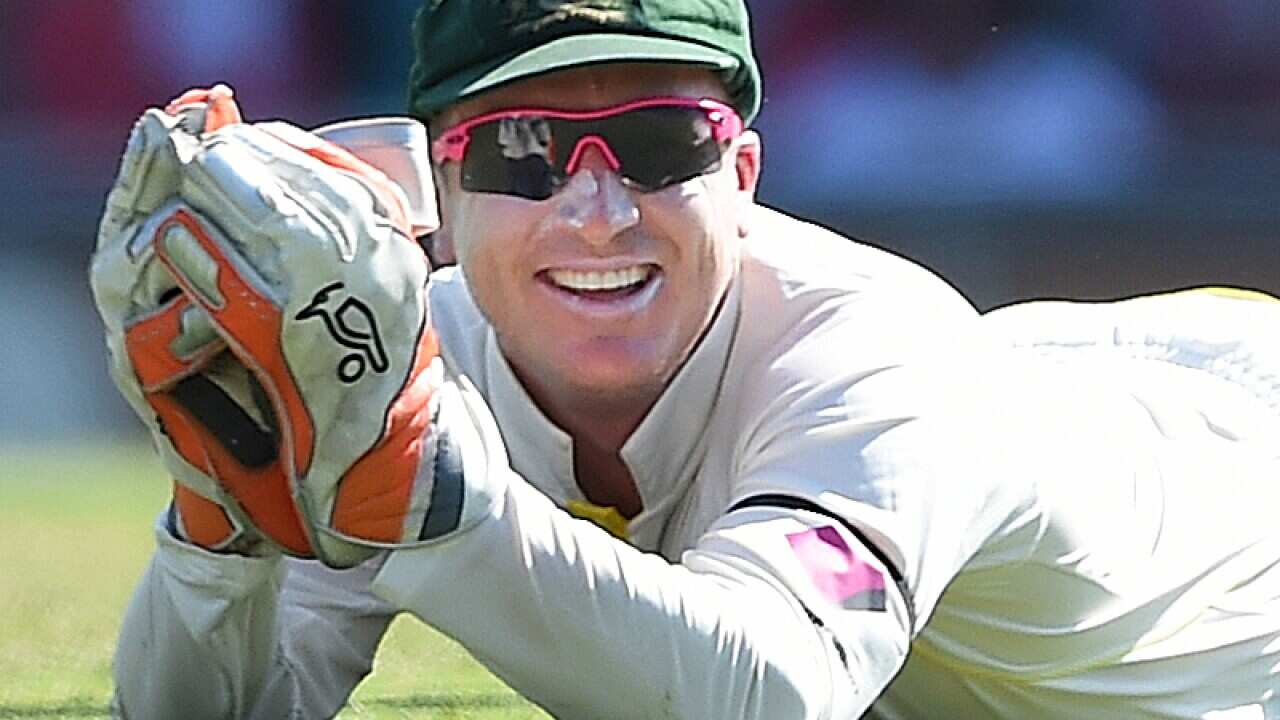 Australia wicketkeeper Brad Haddin