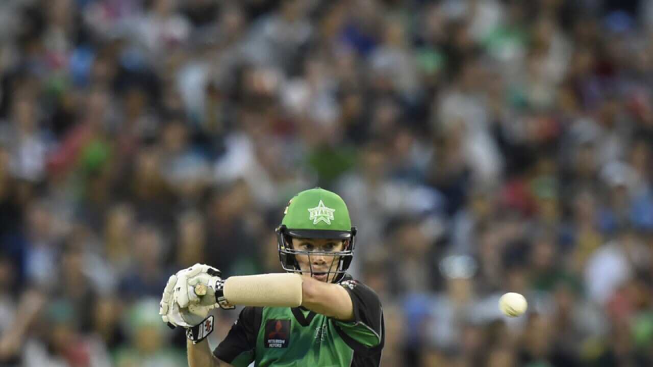 Stars player Adam Zampa