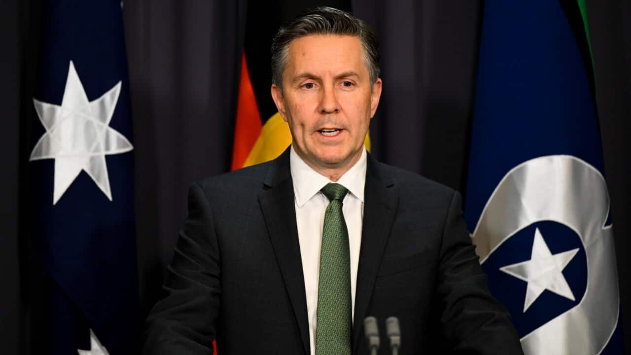 Australian Health Minister Mark Butler speaks to media during a press conference at Parliament House in Canberra