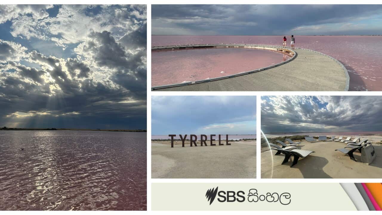 Australian Rural Beauty - Feb 2024 program