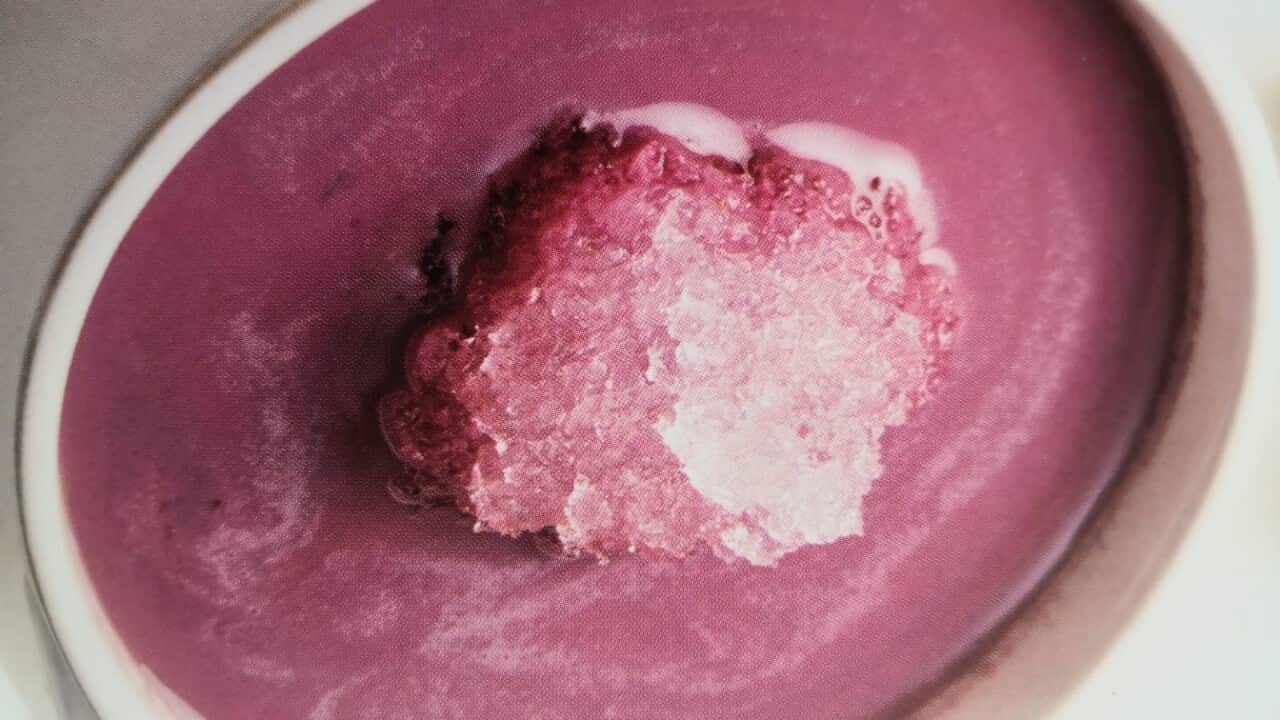 椰香紫薯雪燕露賣相十分吸引。