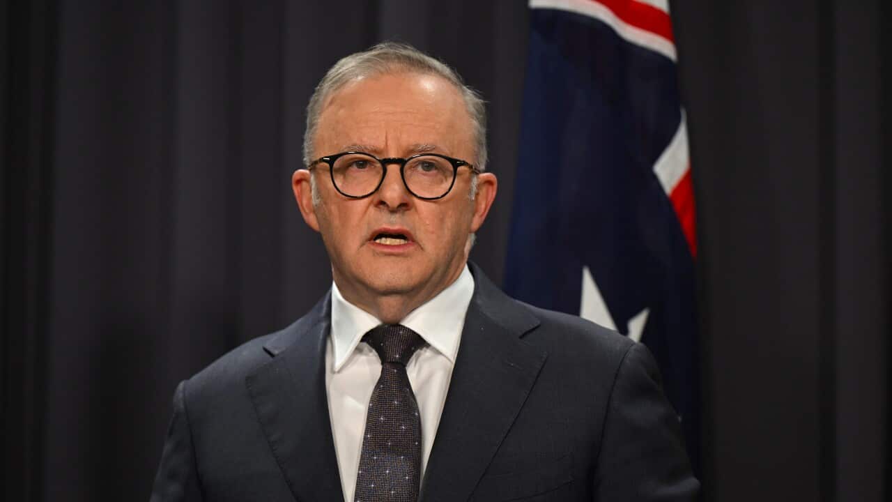 ANTHONY ALBANESE BONDI JUNCTION STABBINGS