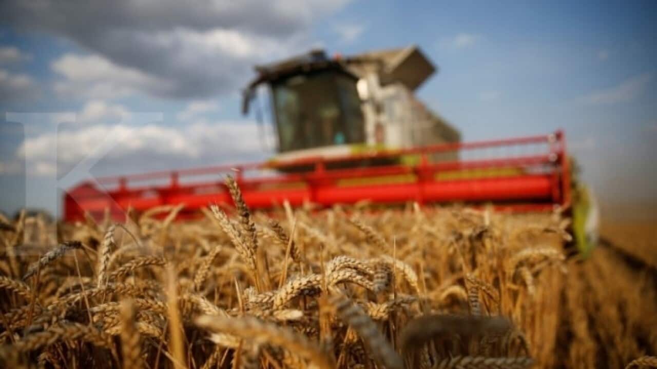 Increased Australian wheat imports to Indonesia might advantage both countries.