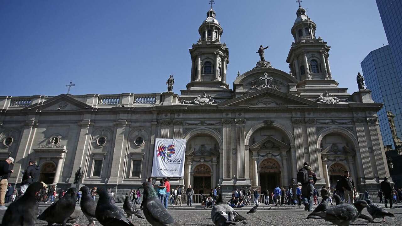 "We want to ask forgiveness for the pain caused to the victims", the Bishops said in a statement.