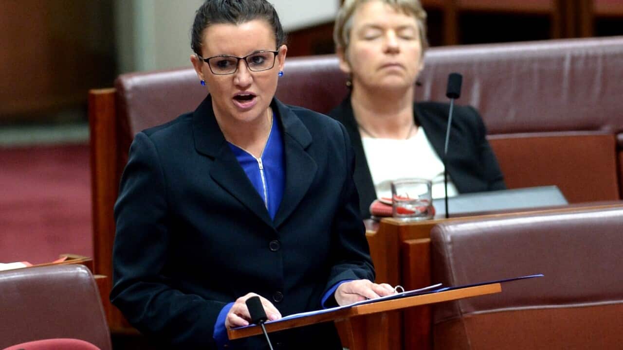 Lambie in the Senate today. (AAP)