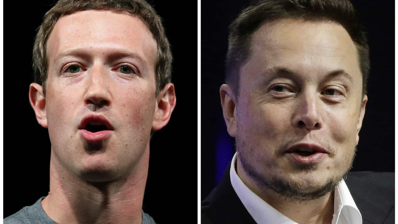 Musk Zuckerberg Fight