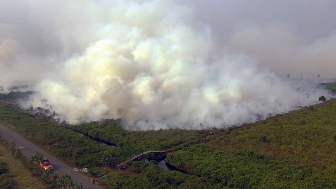 According to media reports, Indonesian authorities are preparing for more fires in Sumatra and Borneo that may impact neighbouring countries, Singapore and Malaysia.  