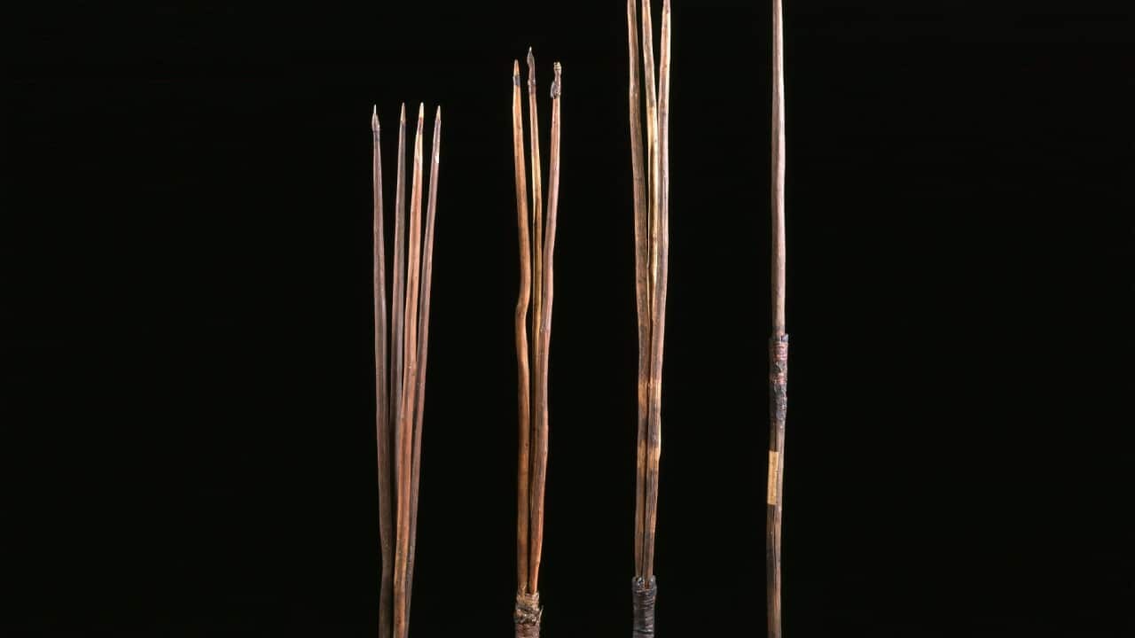 The four surviving spears in the MAA collection (Museum of Archaeology and Anthropology, University of Cambridge).jpg