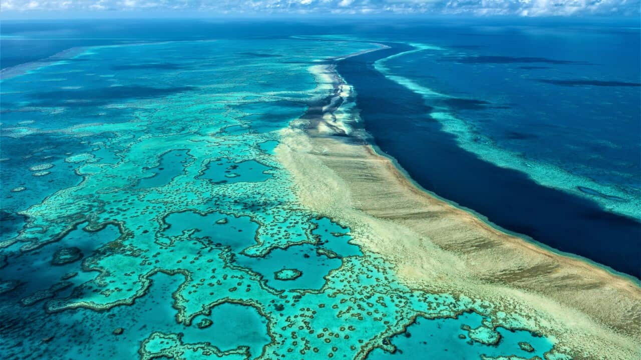 Australia Barrier Reef