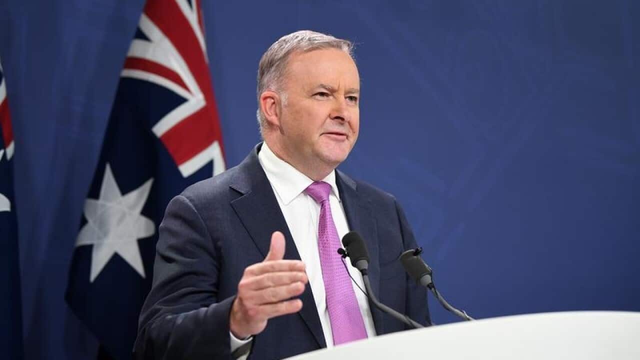 Labor leader Anthony Albanese