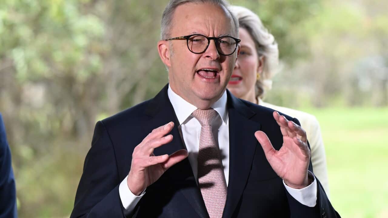 ANTHONY ALBANESE QLD ELECTION