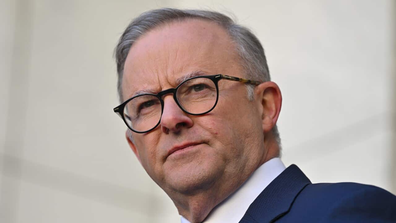 Prime Minister Anthony Albanese