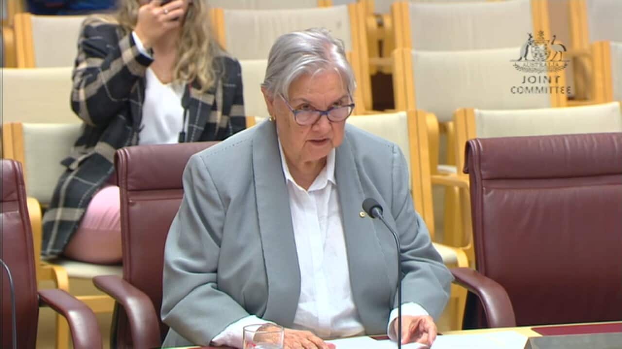 Pat Anderson_Parliament House day one of hearings_credit Parliament House.jpg