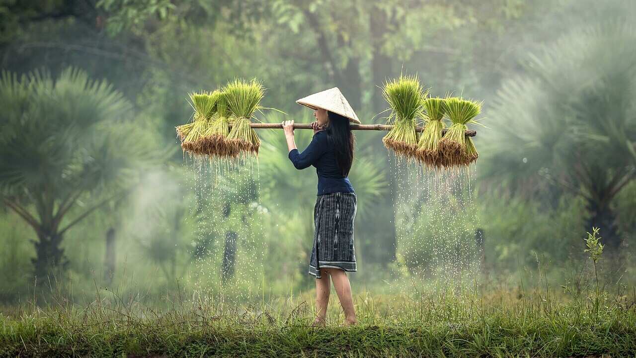Thai cultivator - Pixabay