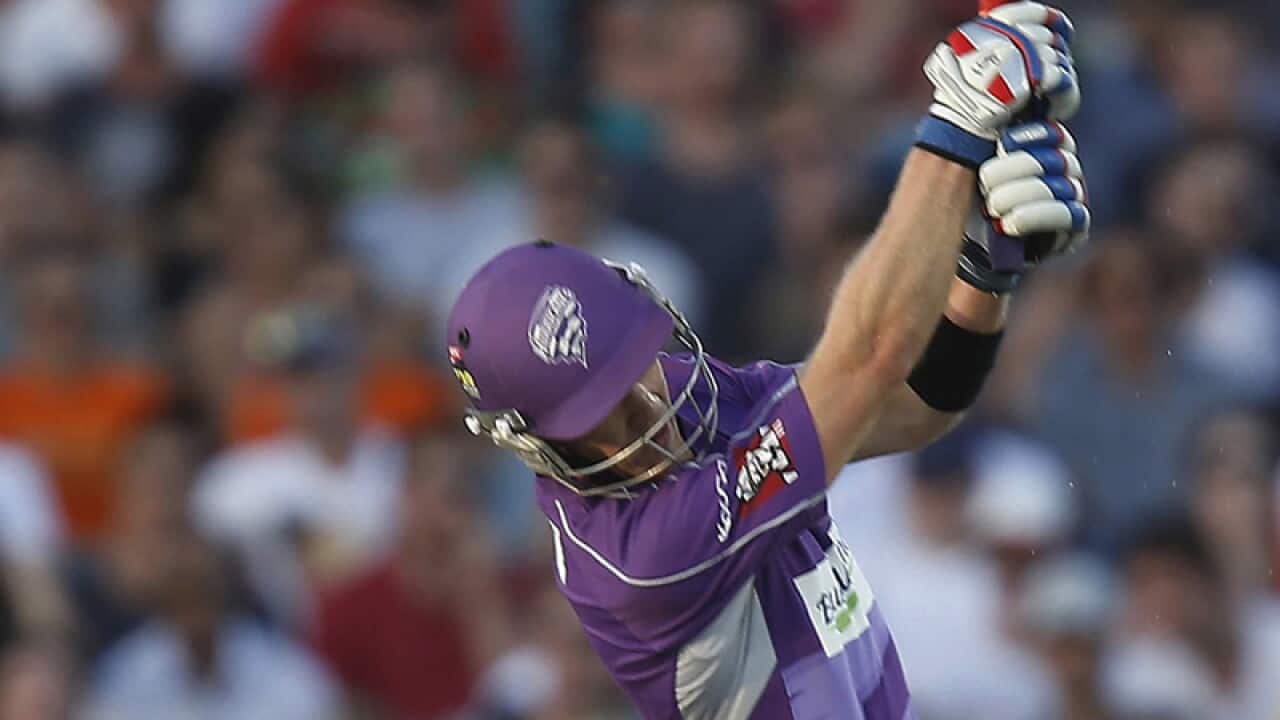 Hobart Hurricanes skipper Tim Paine