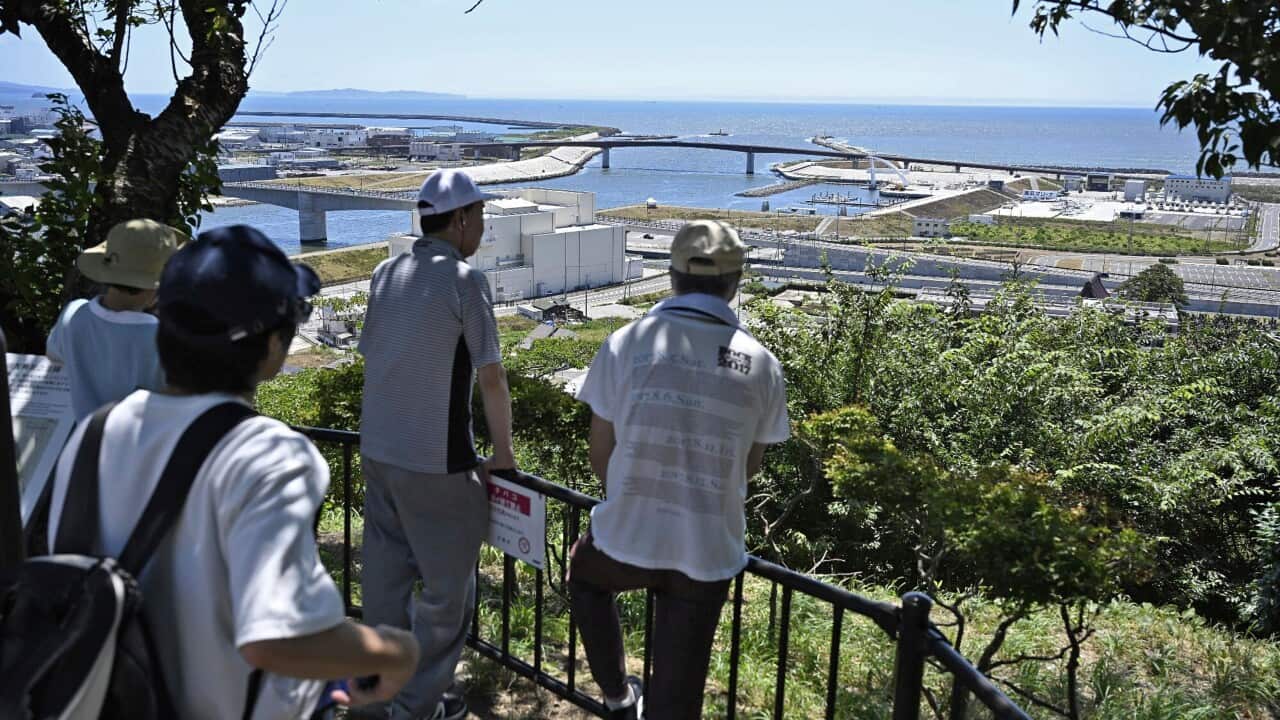 People on higher ground looking over a fence down at a coast.