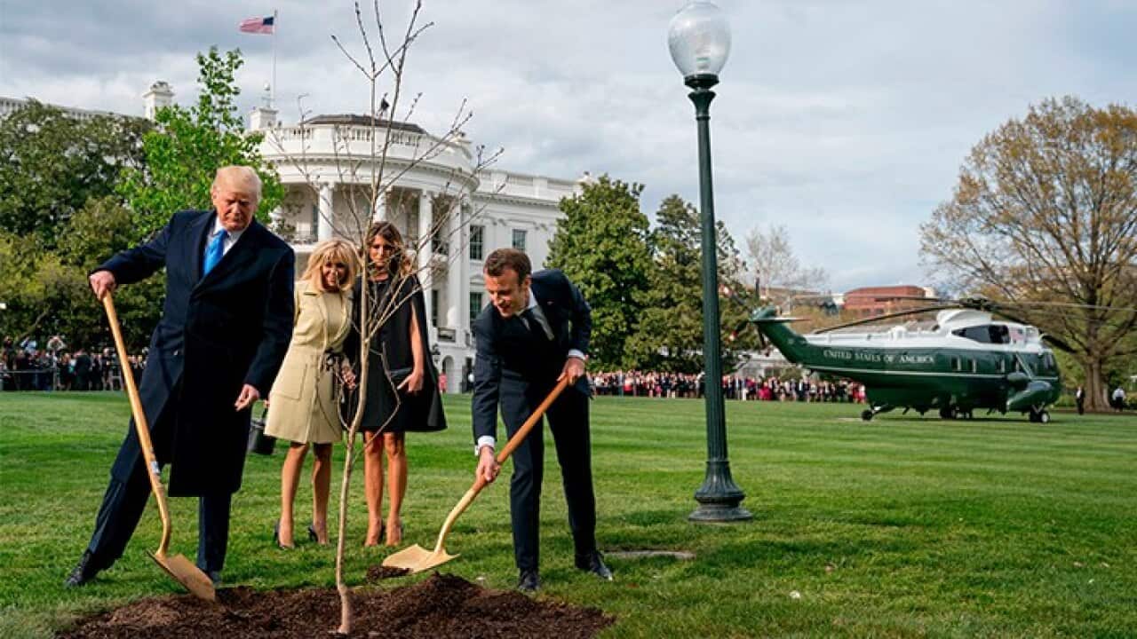 Donald Trump and French President Emmanuel Macron participate in a tree planting ceremony on the South Lawn of the White House in Washington.