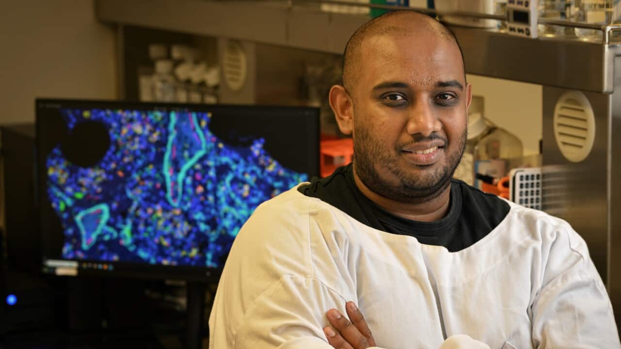 Cancer cell treatment