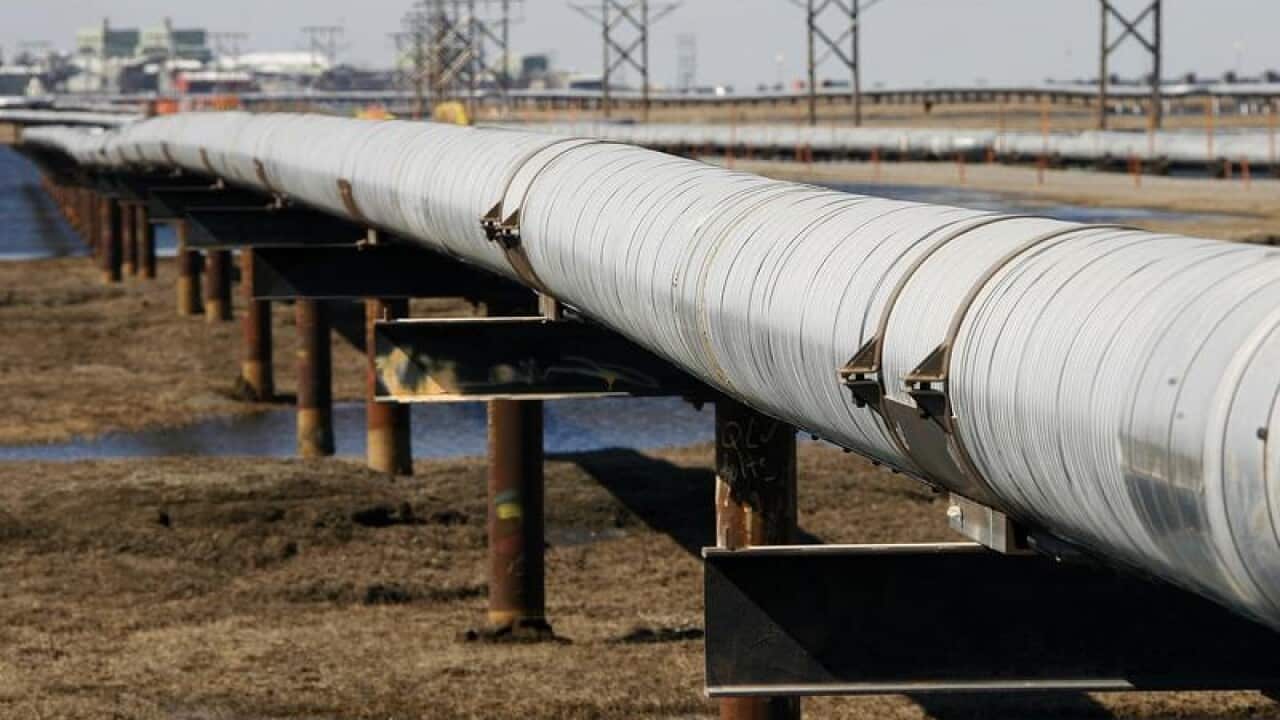 an oil transit pipeline runs across the tundra