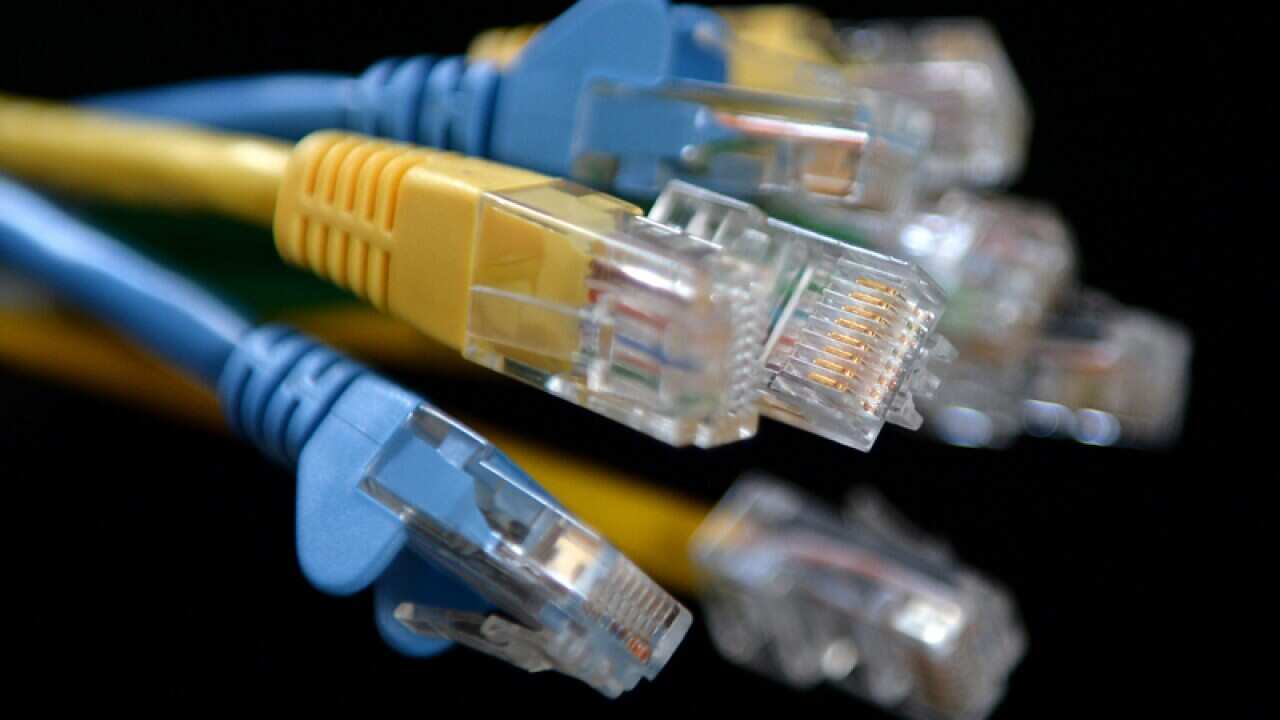 Ethernet cables