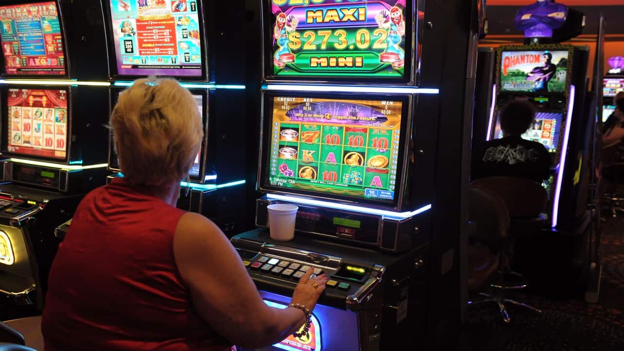 Gamblers at poker machines in Brisbane - AAP.jpg