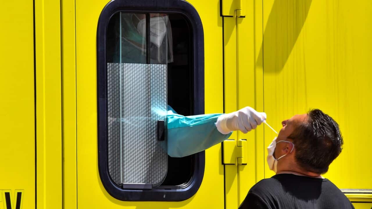 Macedonian Community, Homeland news in Macedonian 20 July 2021, Australian Macedonian Community,