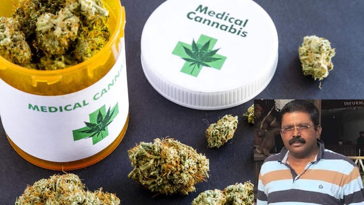 Medical Cannabis
