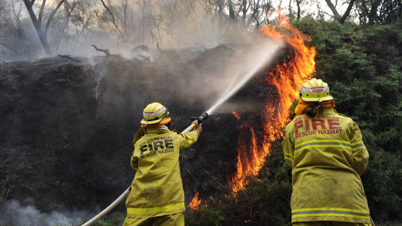 bushfire