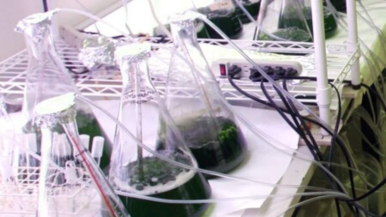 Image for read more article 'READ MORE'