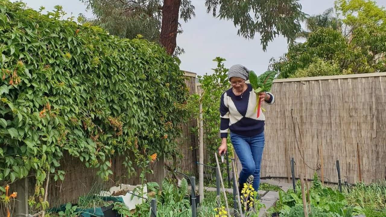 Image for read more article 'Xem thêm'