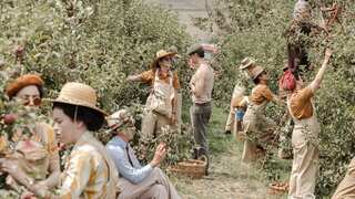 Two lines of women in overalls are picking fruit in an orchard. One is talking to a man in the centre of the row.
